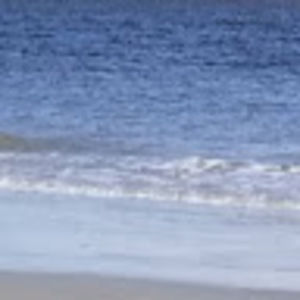 Meet your Posher, Shay